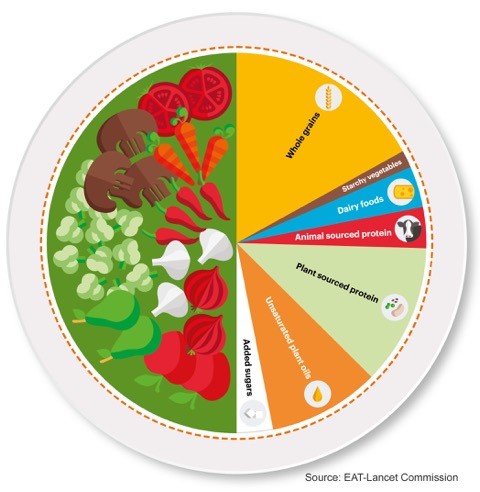 Planetary Health Plate