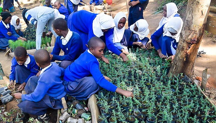 Carbon Free Dining visits tree planting project In Tanzania