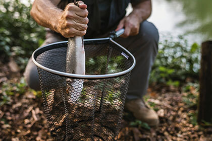 Carbon Free Dining - Why sustainable produce is important