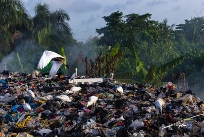 Carbon Free Dining - 3 Ways Your Restaurant Can Reduce Food Waste -Buy Only What You need